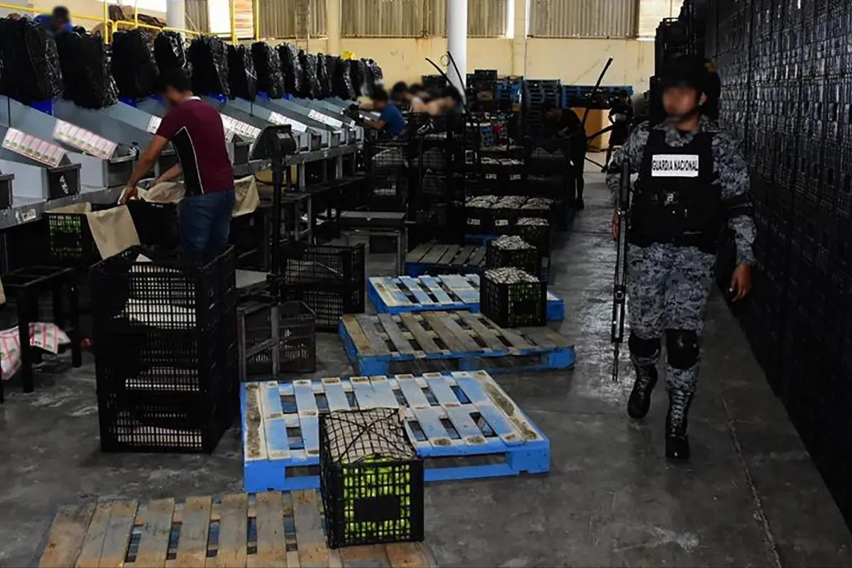 Policías realizando recorridos de supervisión en Michoacán Foto: Gabinete de Seguridad