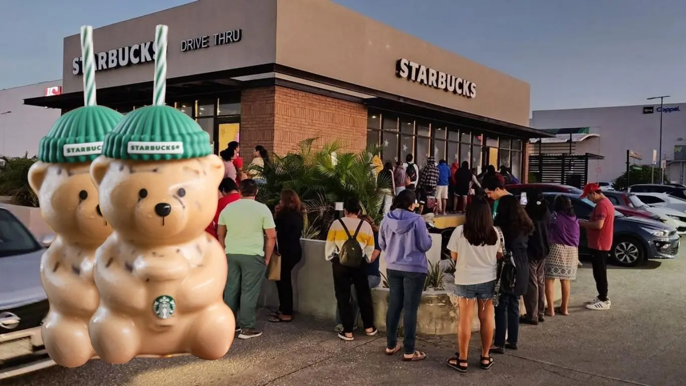 Largas filas en los starbucks de la Península de Yucatán por el oso Baerista: Foto: Canva / Redes sociales / stabucks