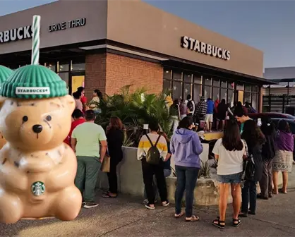 La locura por el vaso Bearista: Yucatán se suma a la fiebre mundial del osito de Starbucks