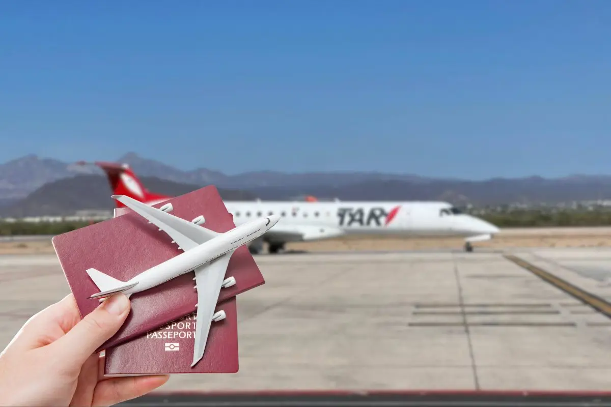 Foto: Gobierno de Baja California Sur