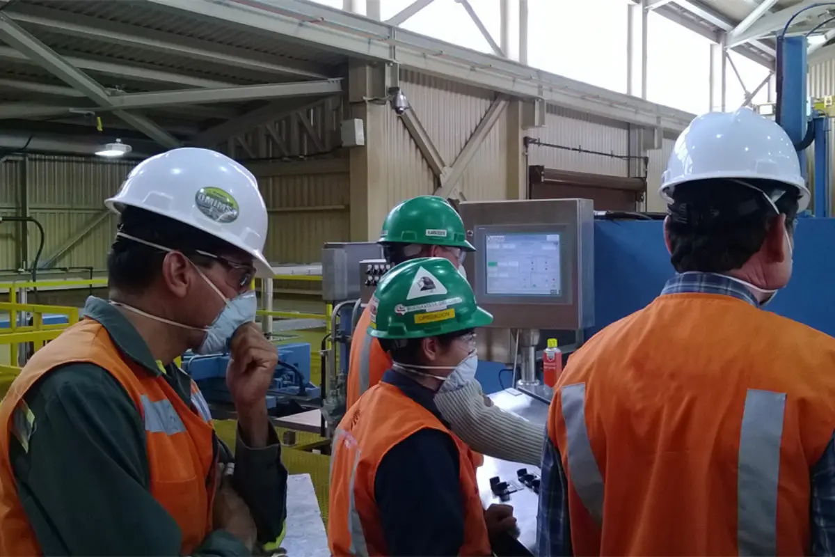 Trabajadores durante sus labores. Foto: Gobierno de México