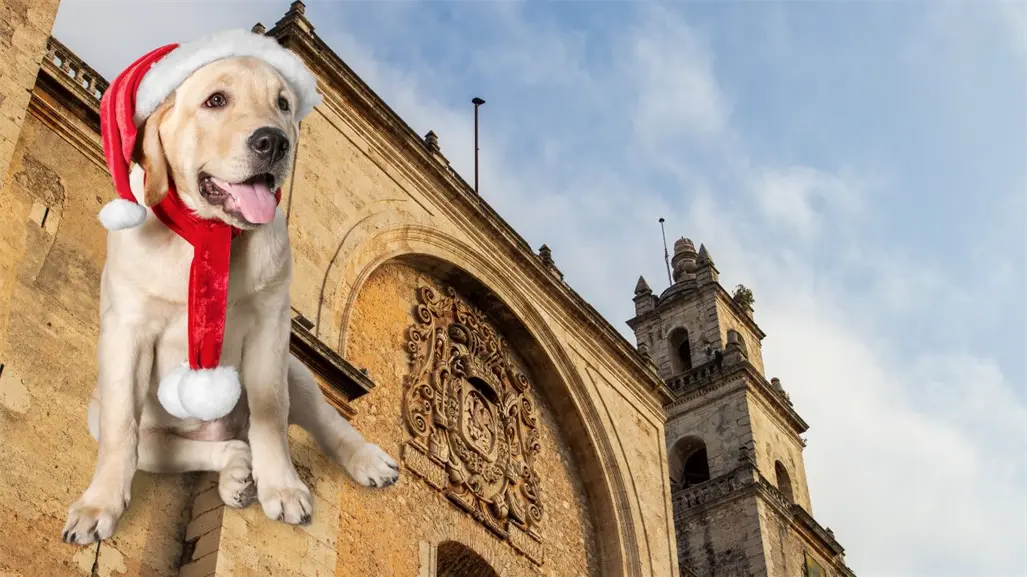 ¿Regresa la "heladez" a Yucatán? Importante cambio del clima llega la próxima semana