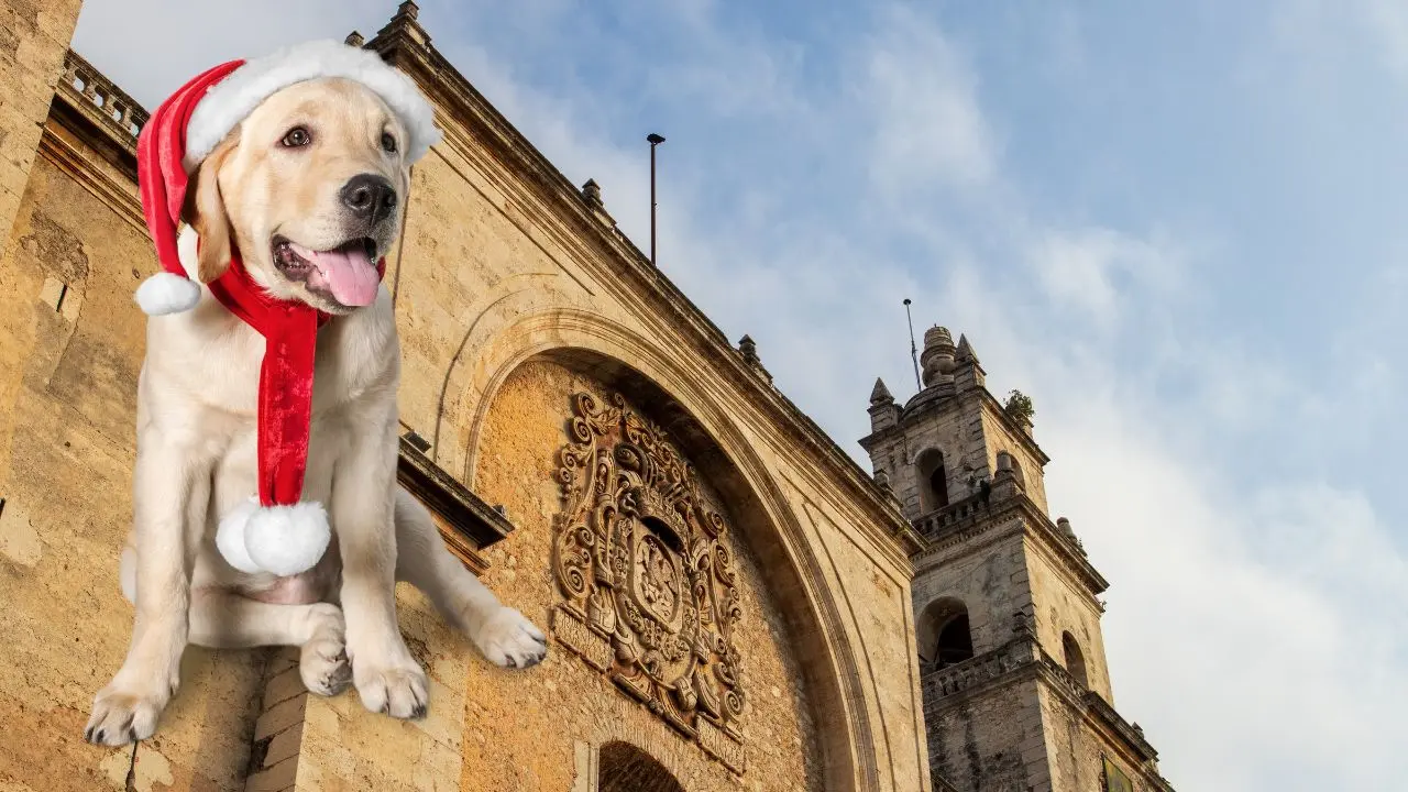 Los primeros días de diciembre han continuado las tardes calurosas. Foto: Canva