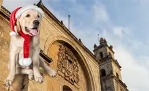 ¿Regresa la “heladez” a Yucatán? Importante cambio del clima llega la próxima semana ¿Regresa la “heladez” a Yucatán? Importante cambio del clima llega la próxima semana