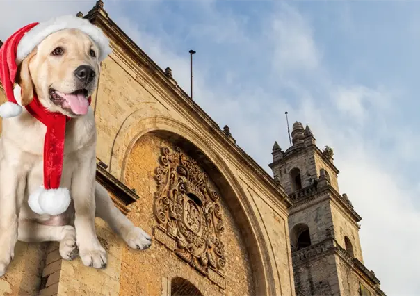 ¿Regresa la "heladez" a Yucatán? Importante cambio del clima llega la próxima semana