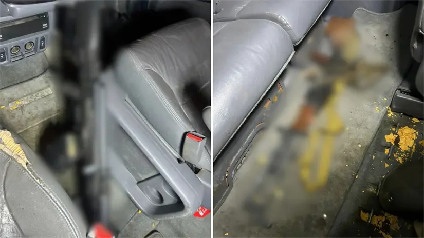 Armas largas fueron localizadas dentro de la camioneta asegurada en el tramo Ciudad Constitución–San Carlos, durante los operativos reforzados en Comondú. Foto: Marea Noticias