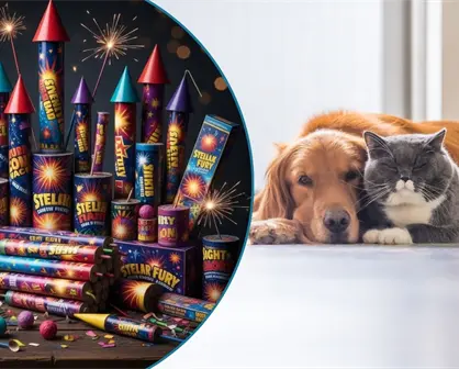 ¿Cómo afecta la pirotecnia a tus mascotas del hogar en Nuevo León?