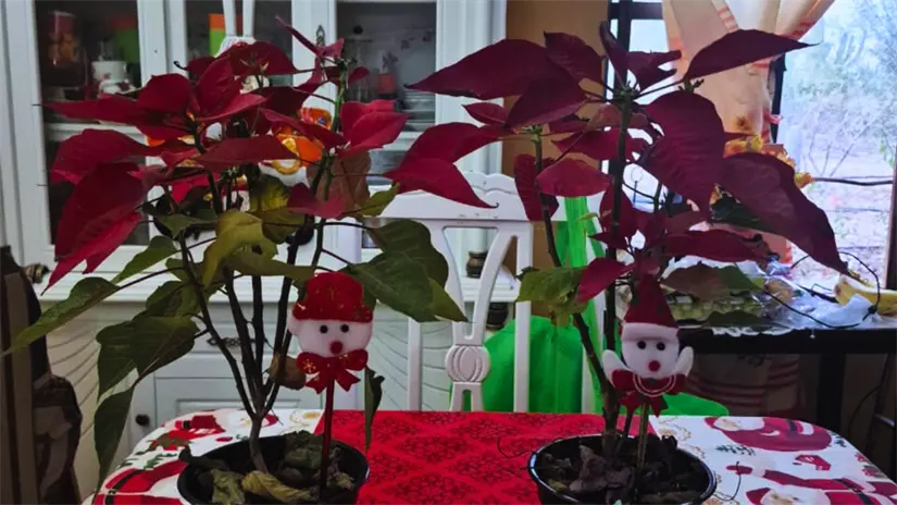 Foto: Ozmar Aguilar / cortesía.