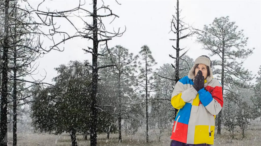 Frente Frío 17 en Durango, se prevén nevadas, agua nieve y lluvias este 3 de diciembre