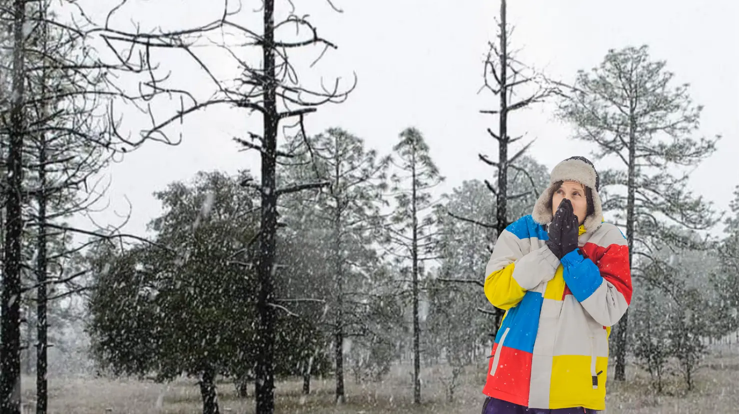 Se esperan eventos de nieve, agua nieve y lluvias en la sierra de Durango. Foto: Especial.