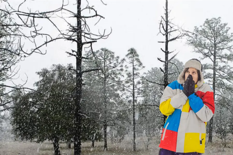 Frente Frío 17 en Durango, se prevén nevadas, agua nieve y lluvias este 3 de diciembre