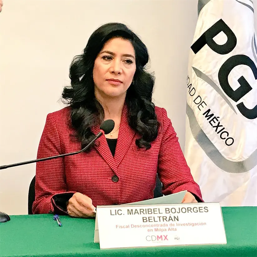 imagen recuadro Maribel Bojorges Beltrán fue incluida en la terna final para encabezar la FGR. Foto: X (@jenarovillamil)