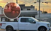 VIDEO | Incendian camioneta de emprendedor en Monterrey y redes exigen investigación