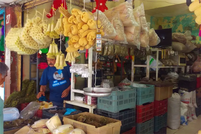 imagen recuadro Los datos del segundo trimestre de 2025 confirman que la economía de Tamaulipas se está inclinando peligrosamente hacia un modelo de subsistencia. Foto: Daniel Espinoza