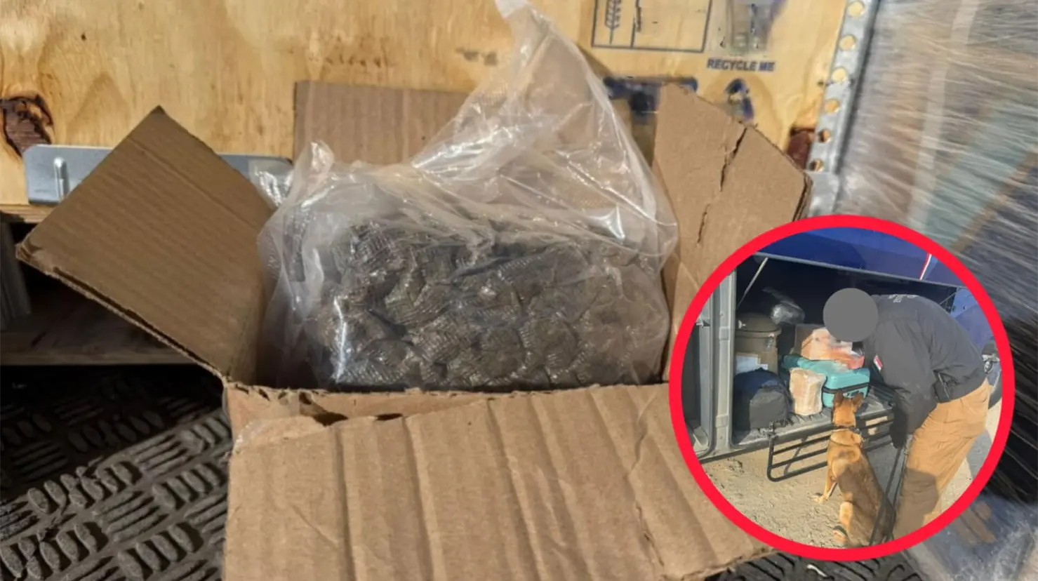 La FGR de Durango encontró droga en dos unidades de distinta procedencia, una empresa de paquetería y en un autobús. | Foto: Especial