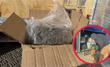 Encuentra FGR Durango droga en un autobús y en una empresa de paquetería