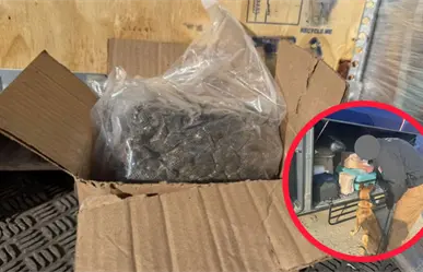 Encuentra FGR Durango droga en un autobús y en una empresa de paquetería