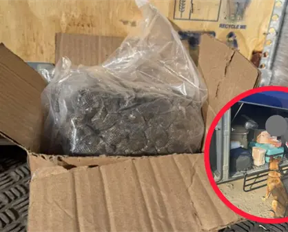 Encuentra FGR Durango droga en un autobús y en una empresa de paquetería