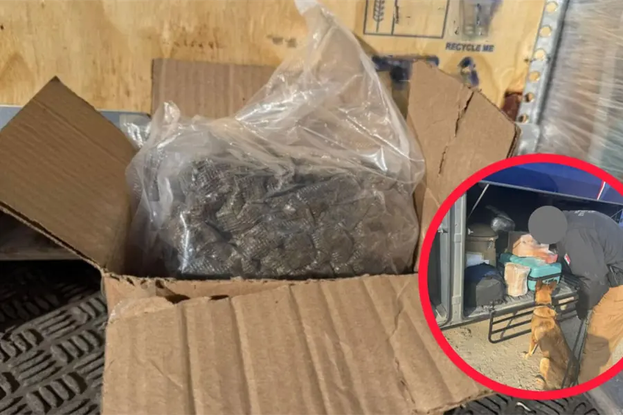 Encuentra FGR Durango droga en un autobús y en una empresa de paquetería