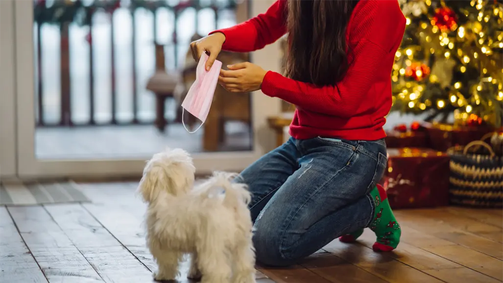 ¿Edomex prohíbe regalar mascotas en Navidad? Esto sabemos sobre la norma de protección animal