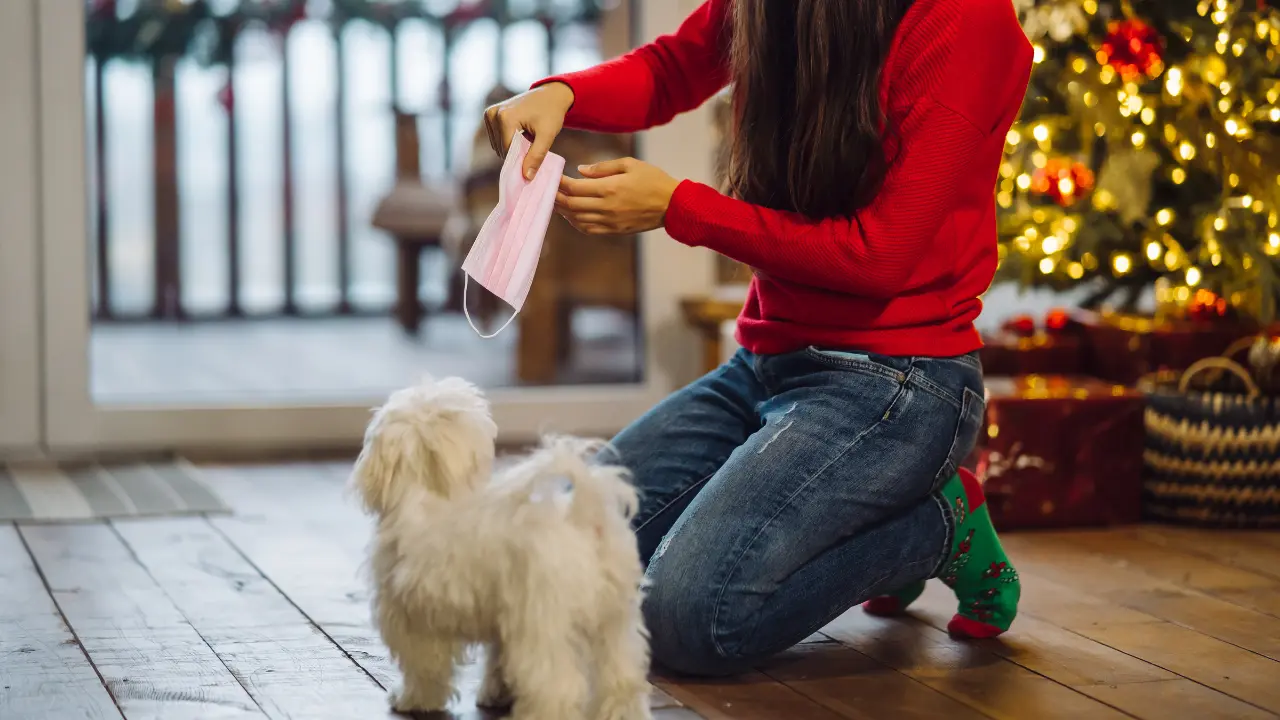 Mascotas como regalo navideño en Edomex. | Foto: Freepik