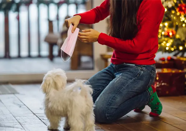 ¿Edomex prohíbe regalar mascotas en Navidad? Esto sabemos sobre la norma de protección animal