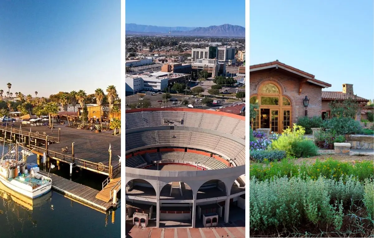 Entre volcanes, viñedos y montañas nevadas, el invierno en Baja California trae rutas ideales para una escapada rápida. Foto: TripAdvisor