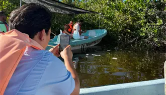 Río Lagartos, un paraíso natural: ¿Cuántos tipos de cocodrilos habitan en esta zona protegida?