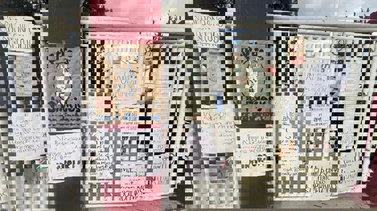 imagen-cuerpo imagen-cuerpo