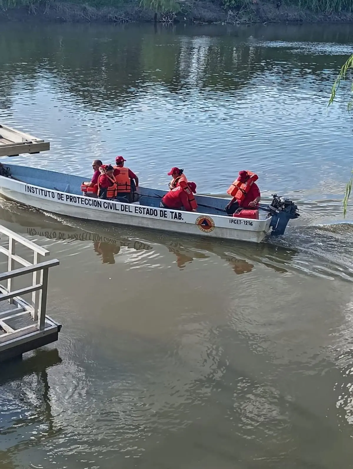 El ejemplar fue hallado en el río Grijalva a la altura del Malecón de la ciudad de Villahermosa. Foto: Protección Civil Tabasco