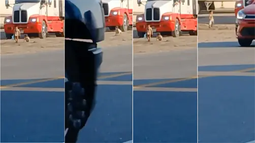 Peligro en el Rumbo Nuevo,reportan 2 niños jugando sin supervisión en acotamiento de tráileres