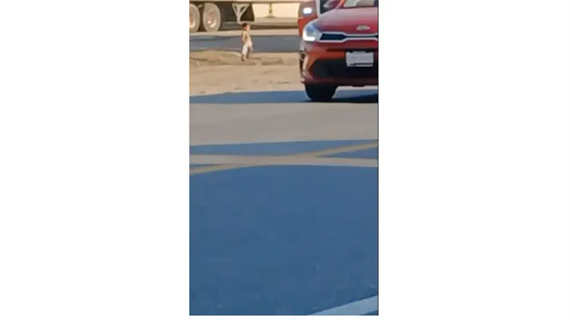 imagen recuadro Alerta en carretera, reportan 2 niños solos jugando en el Kilómetro 1. FOTO | FM Noticias