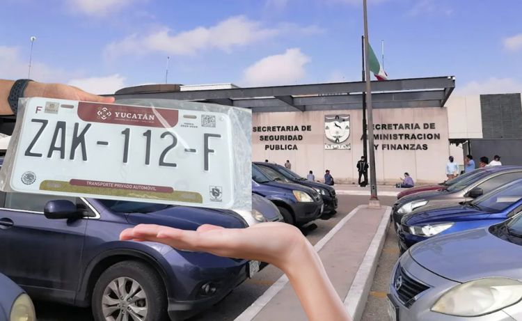 imagen-cuerpo imagen-cuerpo