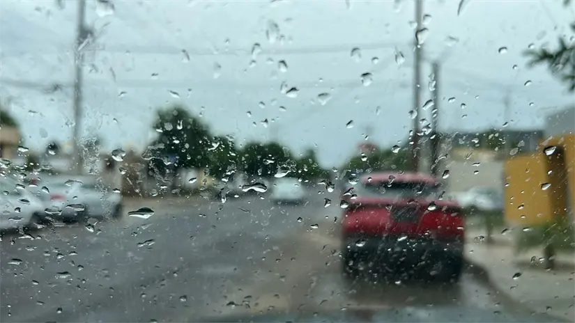 Foto: Ivette Pérez / POSTA Baja California Sur.