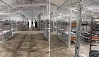 Denuncian abusos extremos contra migrantes en el centro “Alligator Alcatraz” en Florida