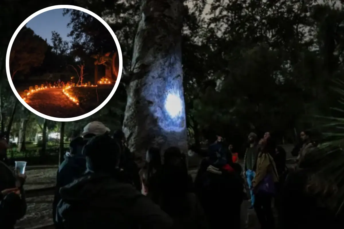 El Bosque Los Colomos de Guadalajara está por cerrar sus recorridos, ¿cuándo será el último? Foto: Gobierno de Jalisco | Canva