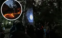 El Bosque Los Colomos de Guadalajara está por cerrar sus recorridos, ¿cuándo será el último?