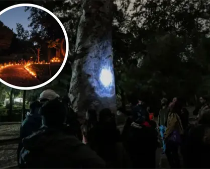 El Bosque Los Colomos de Guadalajara está por cerrar sus recorridos, ¿cuándo será el último?