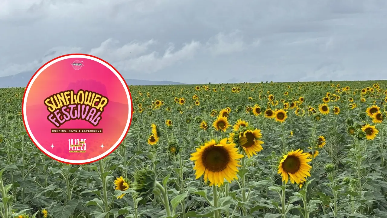 Disfruta de la Sunflower Festival y la belleza de sus campos en González, Tamaulipas | Foto: FB Campo de Girasoles Rancho Betty González Tamaulipas | FB Sunflower Festival