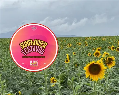 Tendrá Tamaulipas primer festival del girasol, ¿de qué se trata?