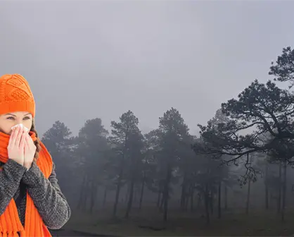 Entra Frente Frío 18, dejará eventos de agua nieve y nieve este 4 de diciembre en Durango