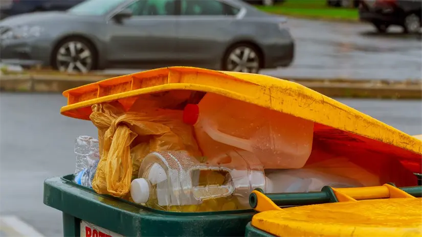 imagen recuadro Imagen alusiva a un bote ecológico Foto: Canva