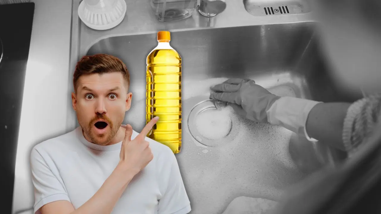 La institución invita a trasladar las botellas llenas a un Punto Verde o a sus oficinas Foto: Canva