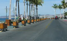 ¿Cuánto costaron las macetas instaladas en el malecón de La Paz? ¿Cuánto costaron las macetas instaladas en el malecón de La Paz?