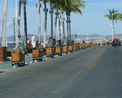 ¿Cuánto costaron las macetas instaladas en el malecón de La Paz?