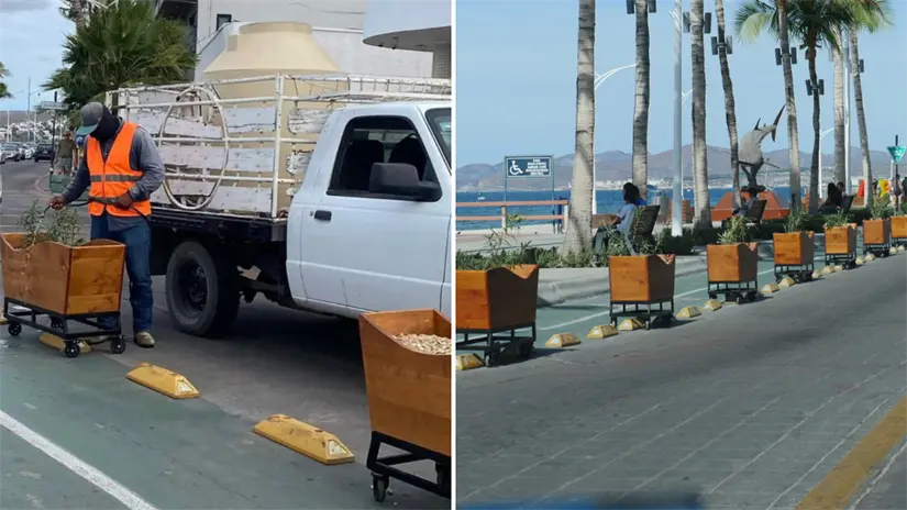 Un trabajador realiza el riego de las plantas colocadas en las macetas móviles instaladas como barreras temporales en el malecón de La Paz. Foto: Meeh / Facebook | Oscar Cabrera Betancourt  / Facebook