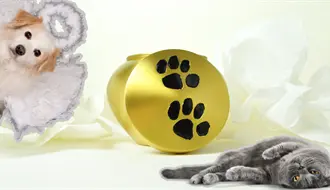 Monclova analiza creación de crematorio para mascotas; rebasa número de animales muertos