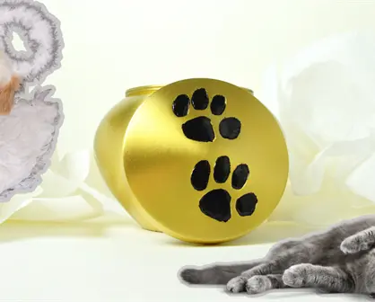 Monclova analiza creación de crematorio para mascotas; rebasa número de animales muertos