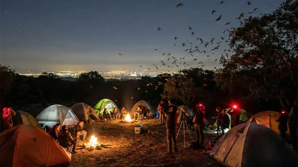 CDMX tendrá campamento nocturno en diciembre ideal para ver murciélagos en su hábitat