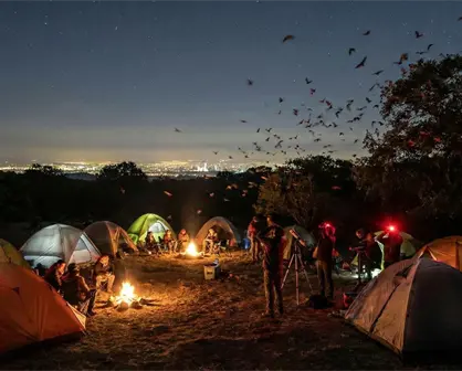 CDMX tendrá campamento nocturno en diciembre ideal para ver murciélagos en su hábitat
